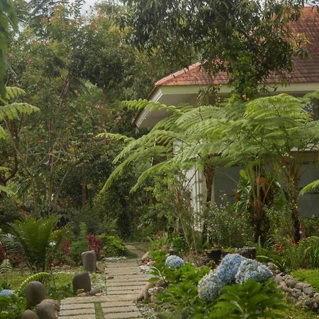 Ara Garden Inn, Accommodation, Yoga Studio & Spa Ruteng Exteriér fotografie
